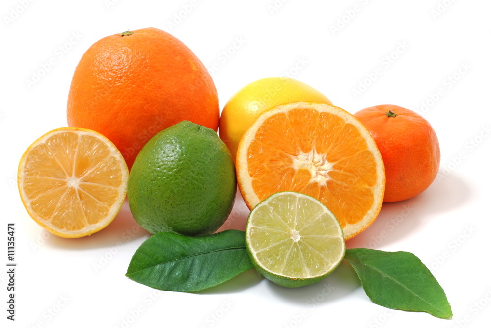 Citrus 6 Citrus 6
