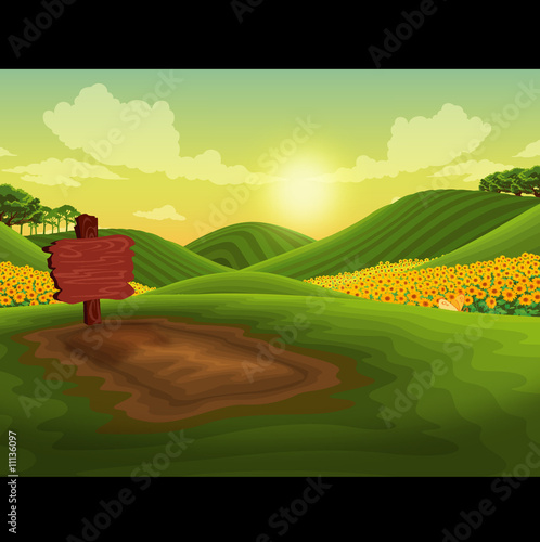 Landscape