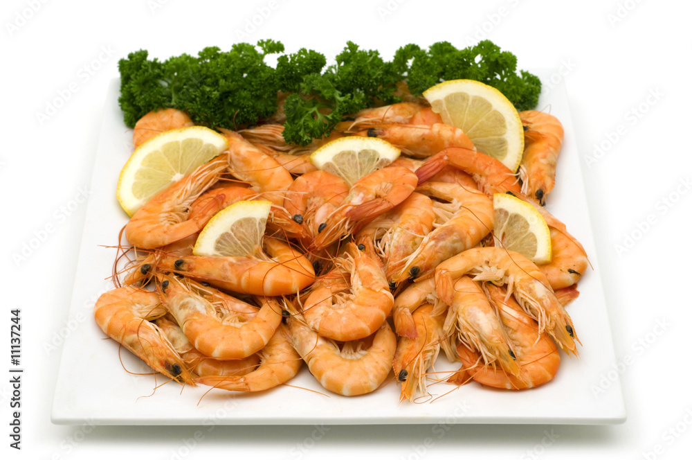 dish of shrimps on white background dish of shrimps on white background