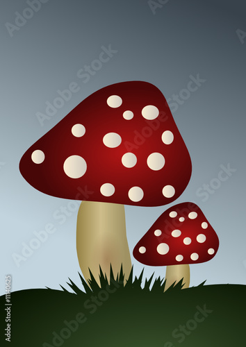 Amanite phalloïde