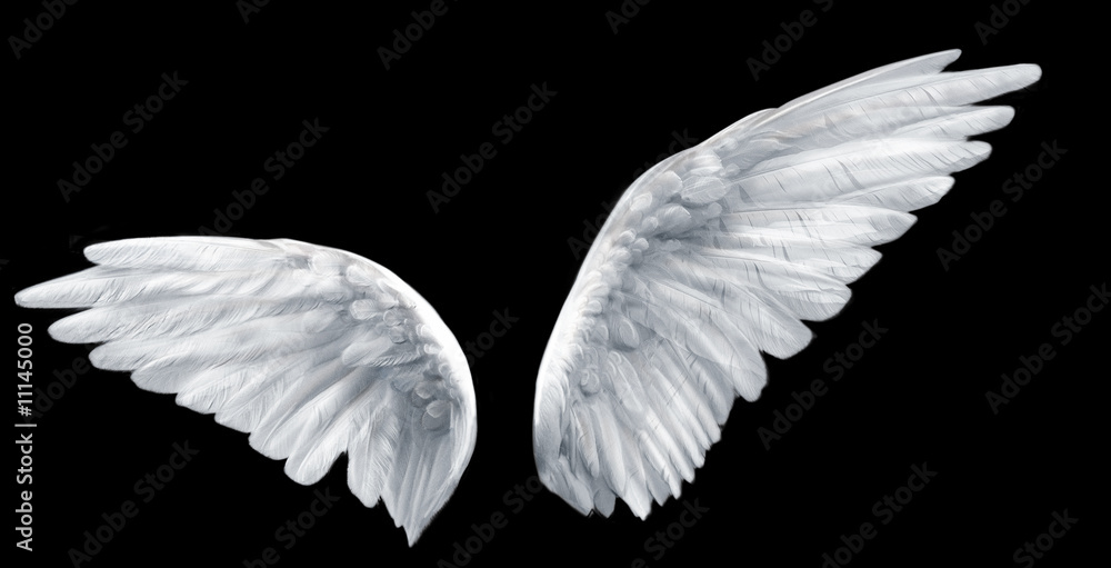 Fototapeta premium skrzydła anioła