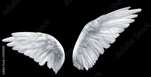 Fototapeta angel wings
