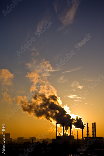 environmental pollution