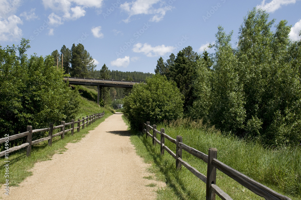 Trail in the Black Hills of South Dakota