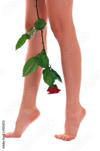 Woman legs with rose