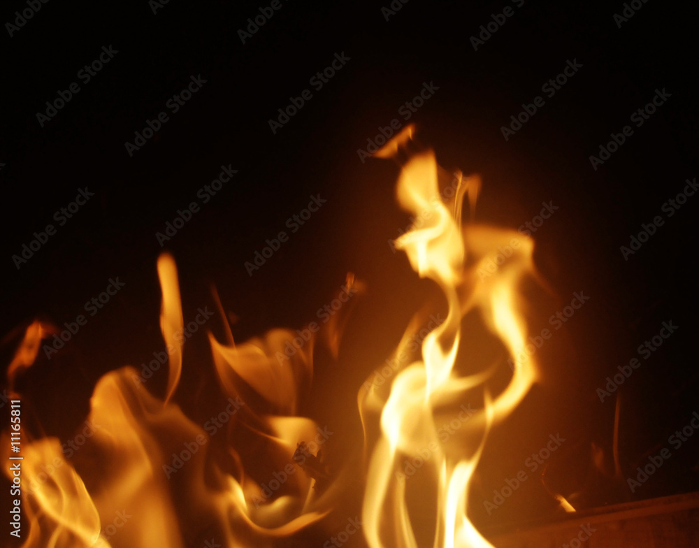 Fototapeta premium flame