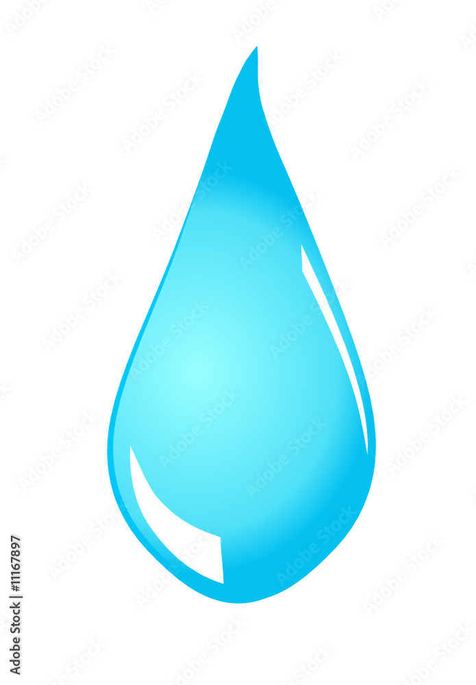 Water drop on white background , vector Water drop on white background , vector