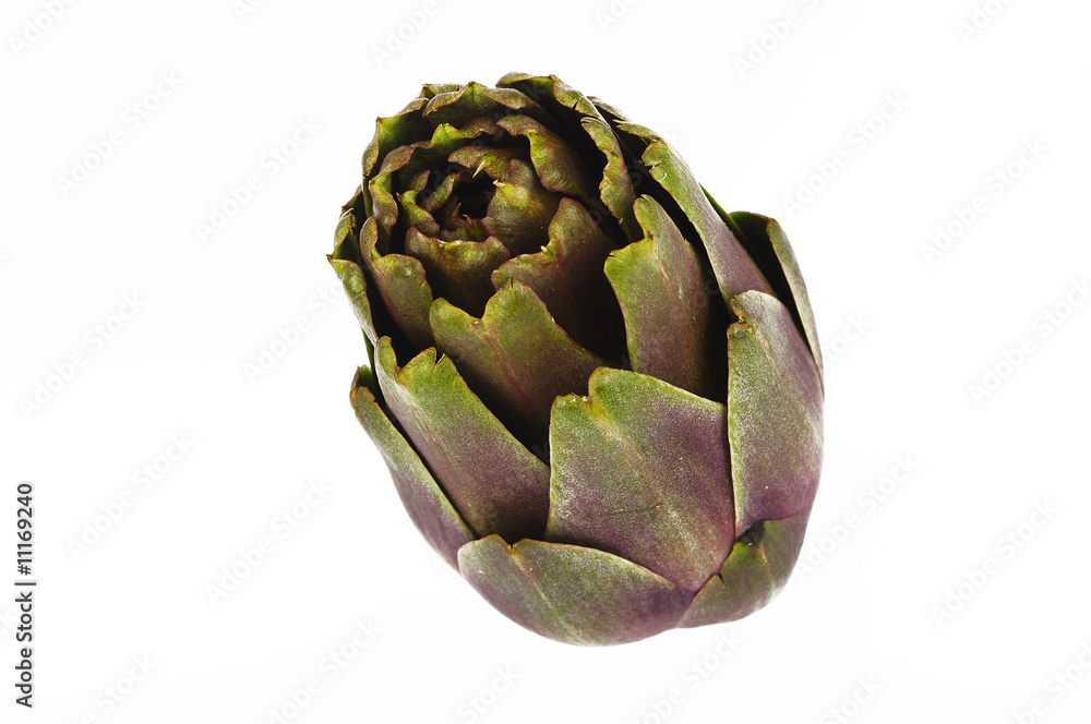 Obraz premium Carciofo 5
