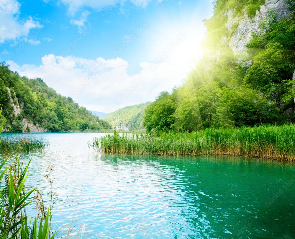 Fototapeta premium forest rock and lake