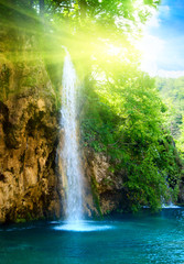 Tuinposter Watervallen Waterval verstopt in donker weelderig bos  © Iakov Kalinin