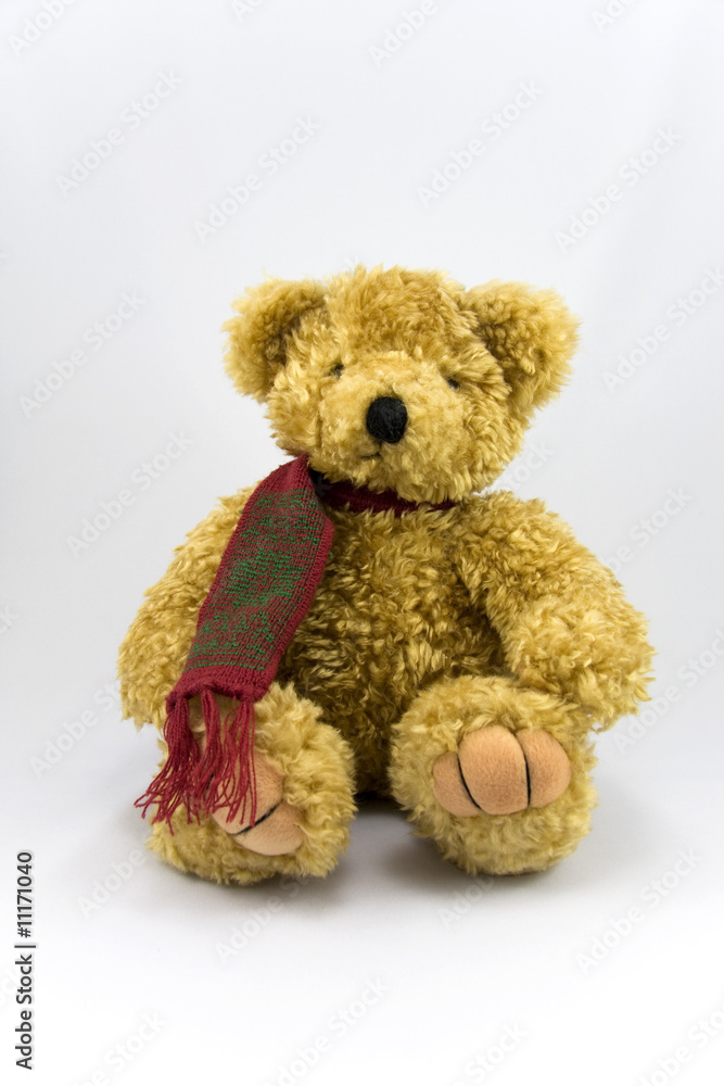 Obraz premium Teddy bear