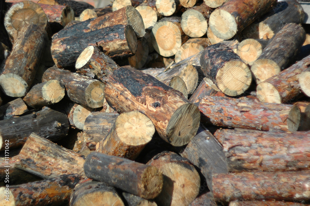 Fire wood. Fire wood.