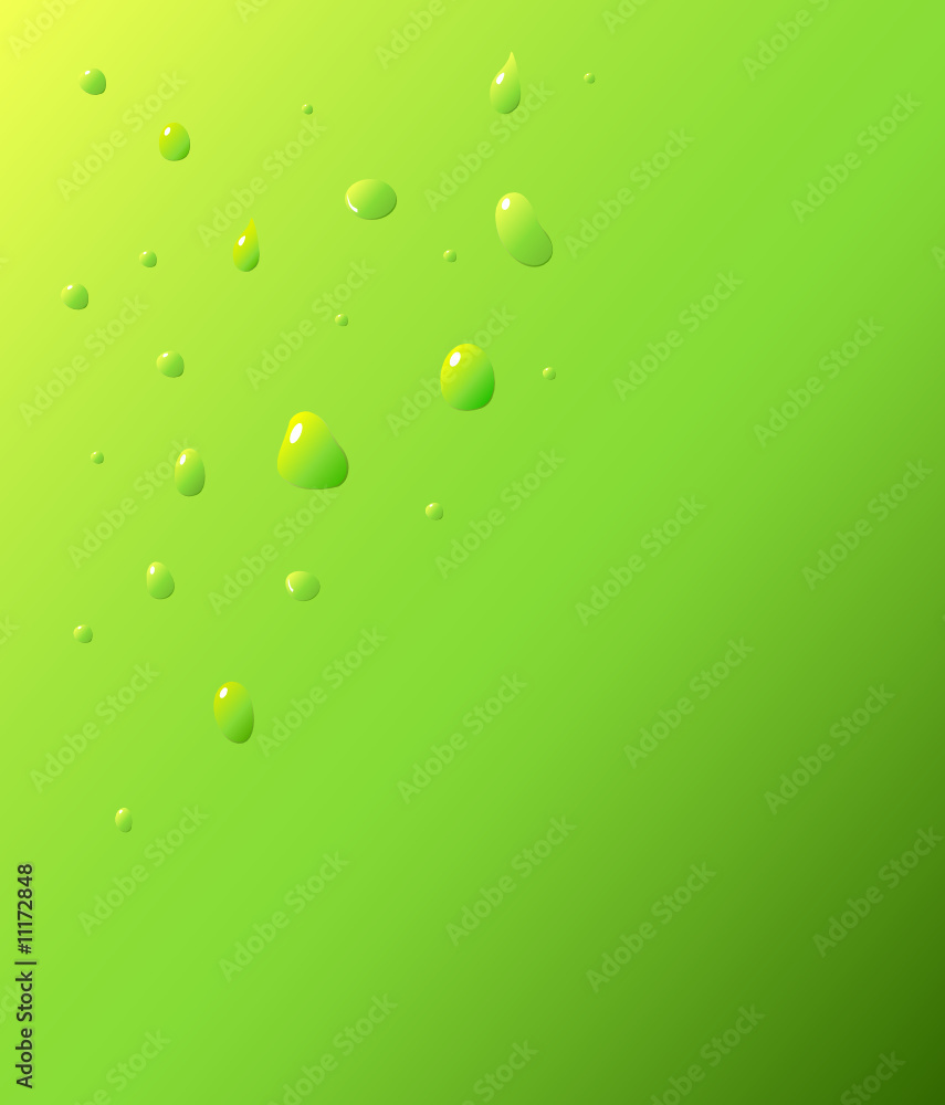 Water drops on green background, vector