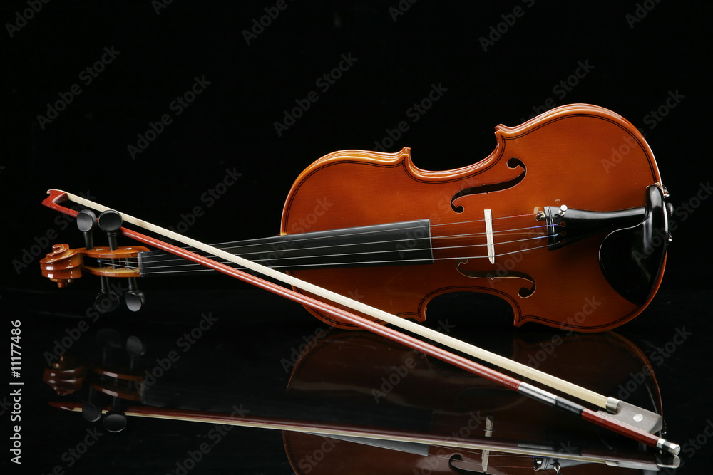 Fototapeta premium violino