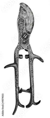 vintage pruning shears