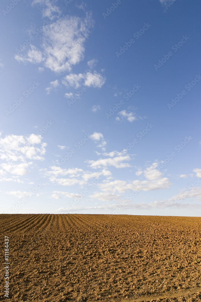 Fototapeta premium brown soil field