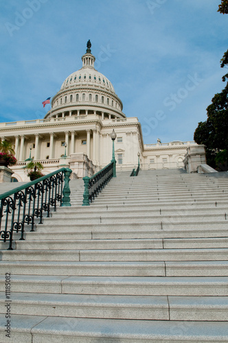 The United States Capitol Building in Washington, DC