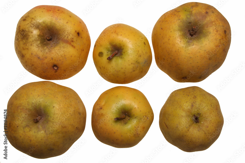 pommes chanteclerc bio