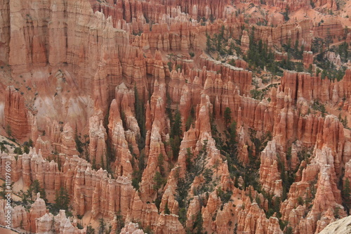 Naturlandschaft im Bryce Canyon Nationalpark, Utah - USA