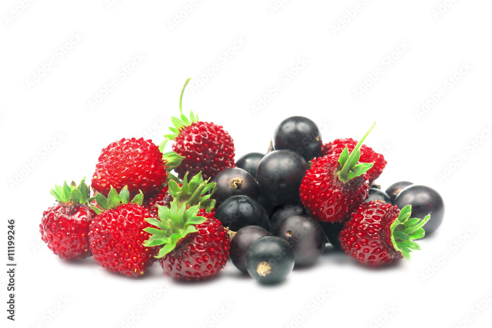 Wild strawberry and blackcurrant. Wild strawberry and blackcurrant.
