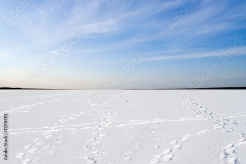 winter landscape © Yuriy Kulik