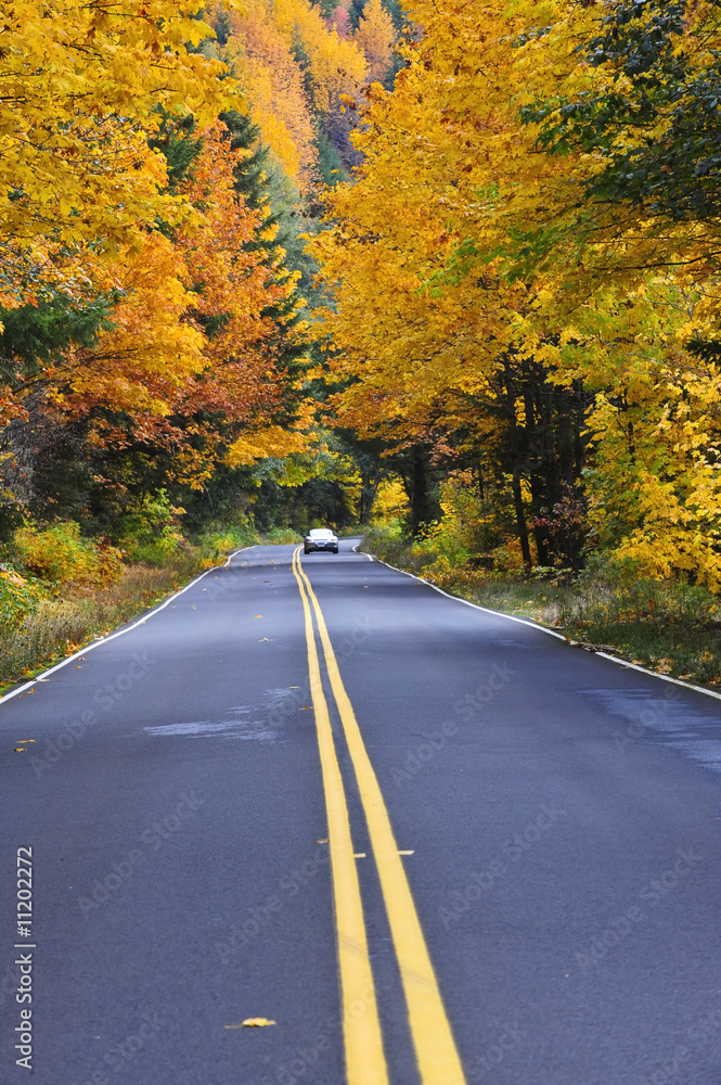 road throught forest in fall with car in distance road throught forest in fall with car in distance