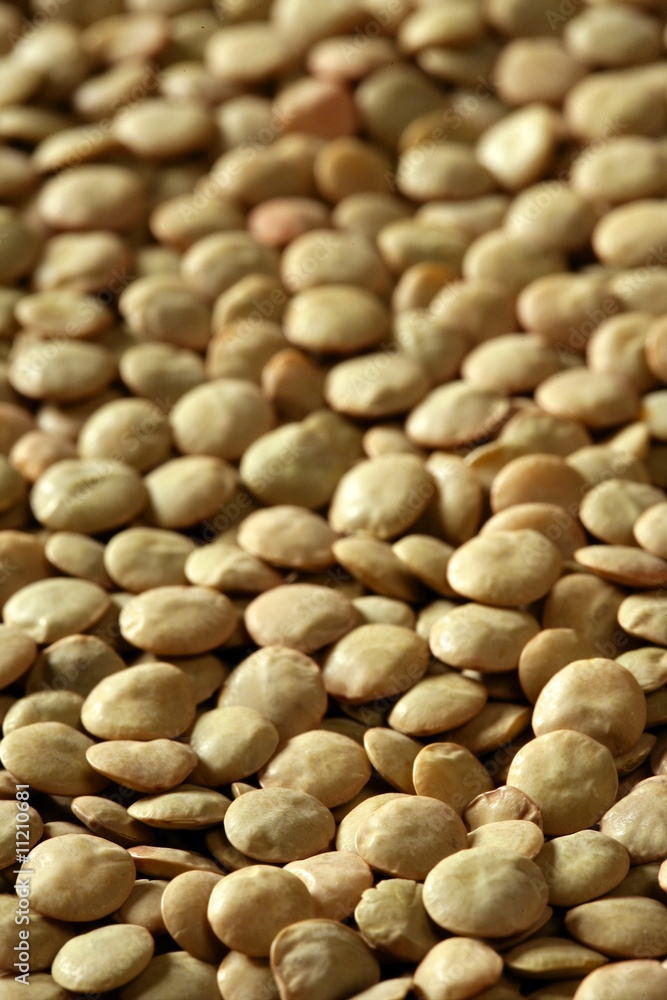 Lentils macro crop texture in brown color