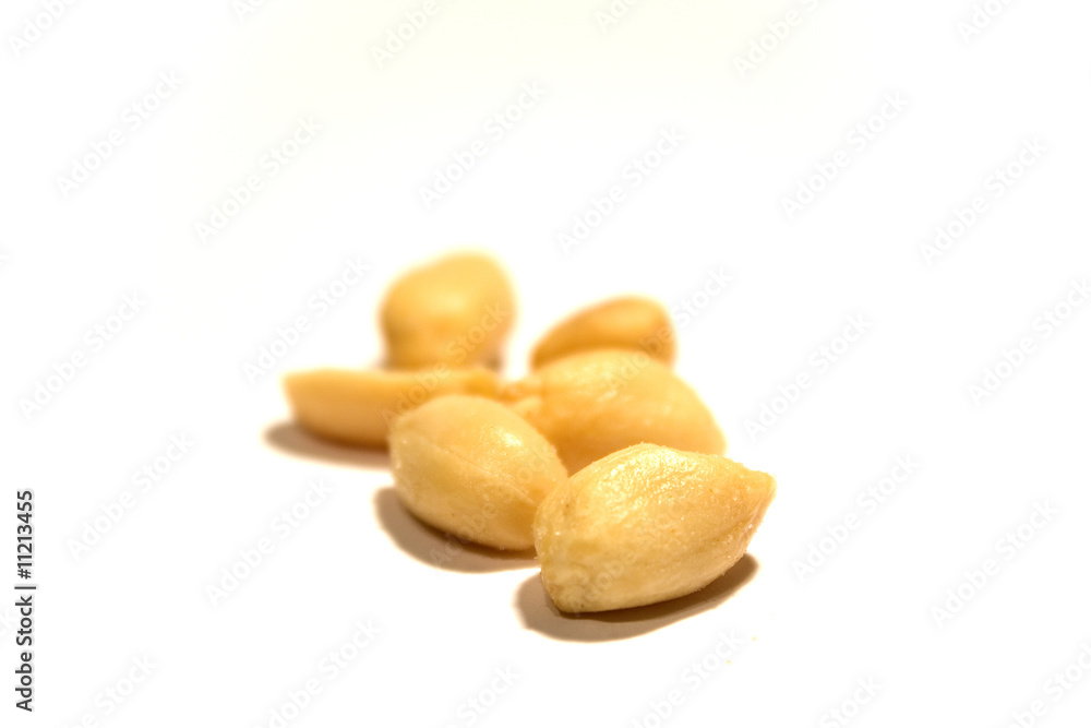 Erdnuss Erdnuss