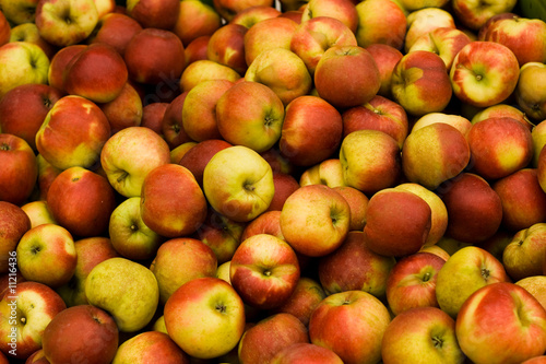 Collection of apples