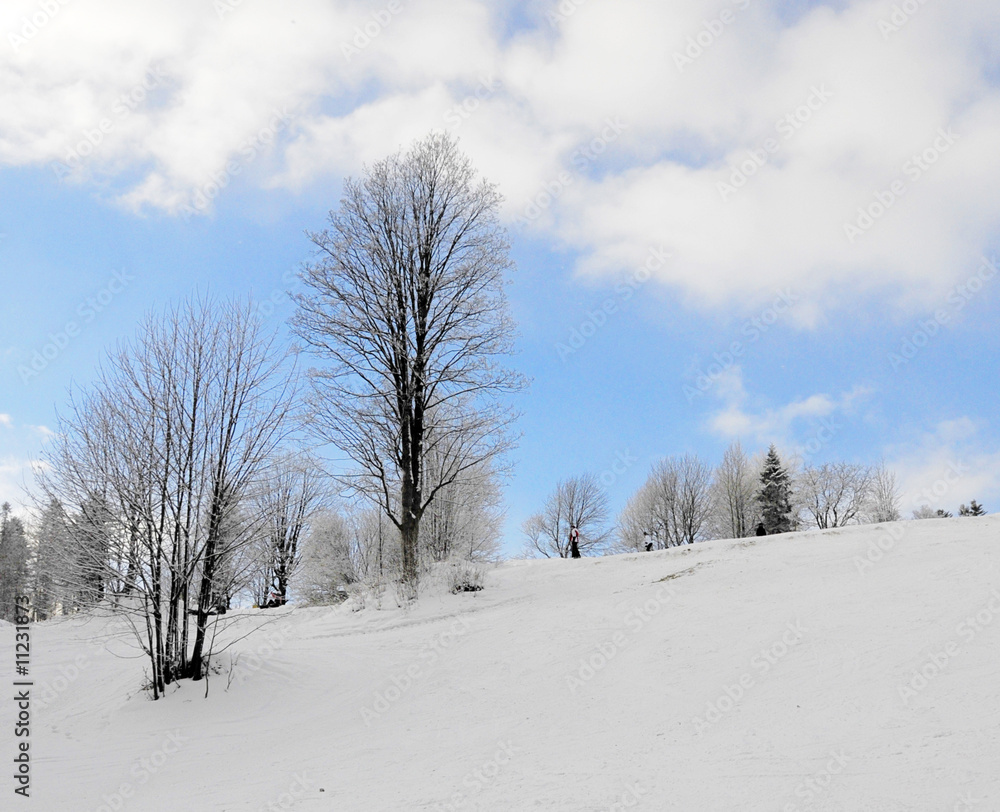 Obraz premium mountain