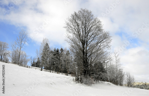 Wallpaper Mural mountain Torontodigital.ca