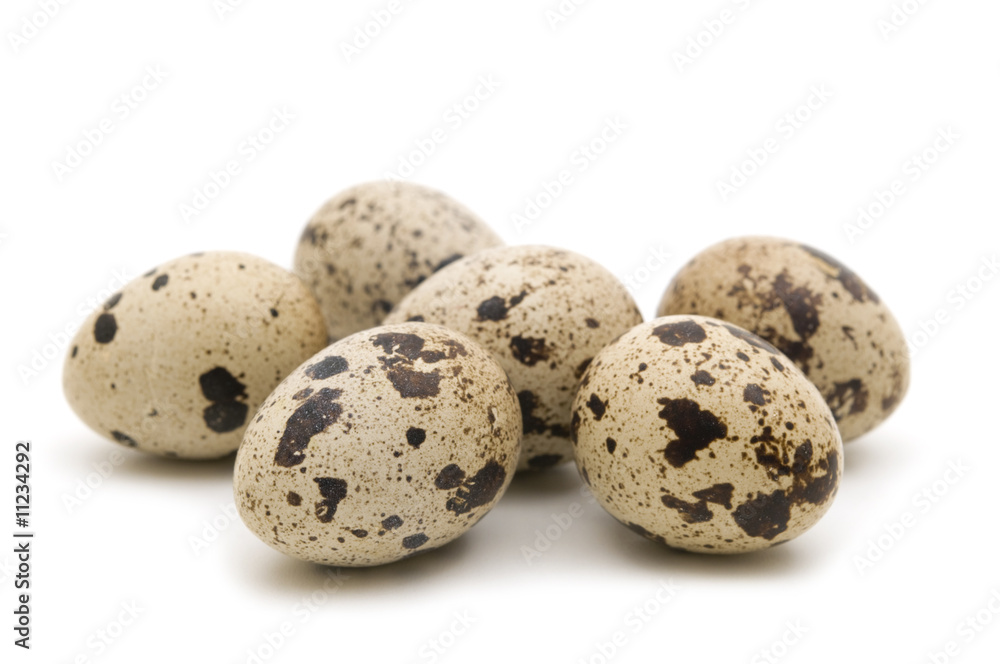 quail eggs on white background.