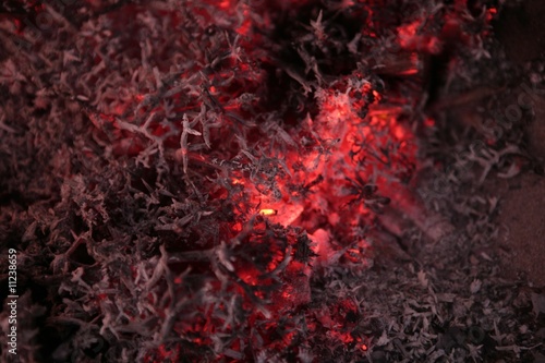 Embers texture, wood in fire