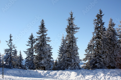 Winterlandschaft Tirol