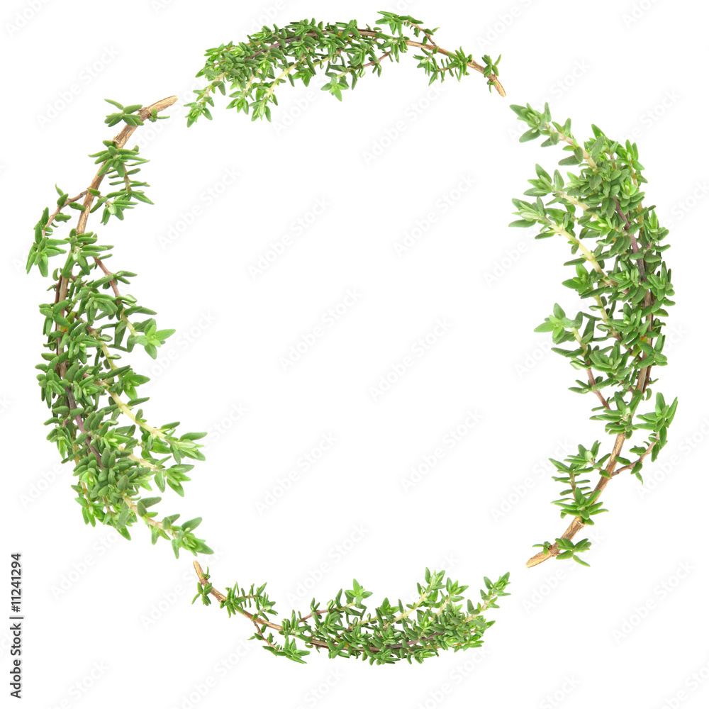 Garland of Thyme Garland of Thyme