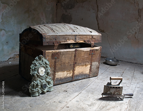 The sight from the darkness