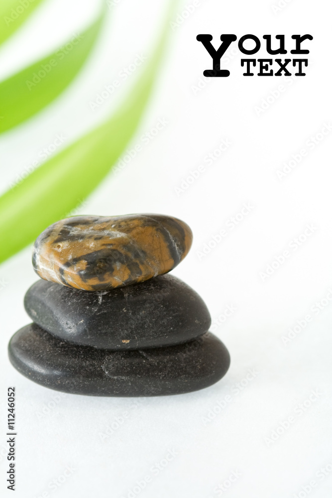 Stones and long leafs on white Stones and long leafs on white