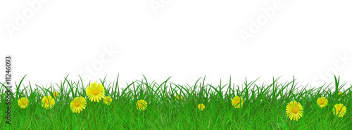 Blumenwiese
