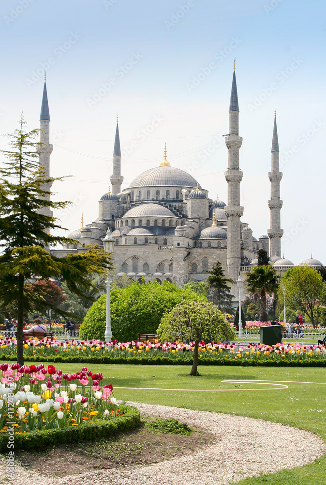Obraz premium The Blue Mosque in Istanbul, Turkey