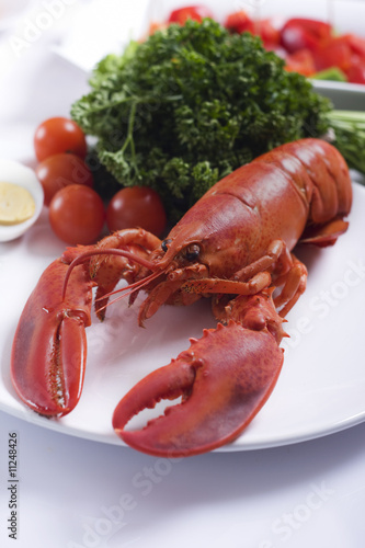 Homard