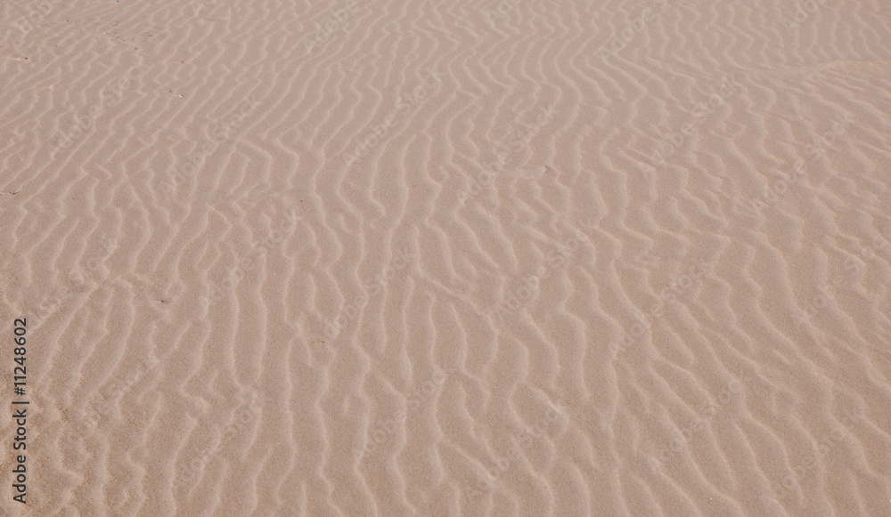 Sable 6 Sable 6