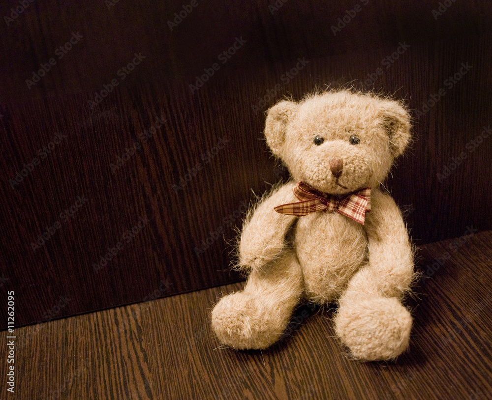 Obraz premium teddy bear