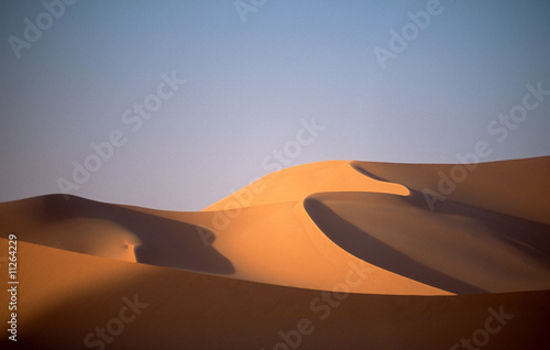 dune © MAURO