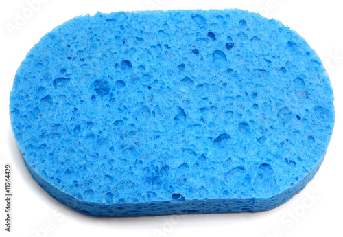 Blue Sponge
