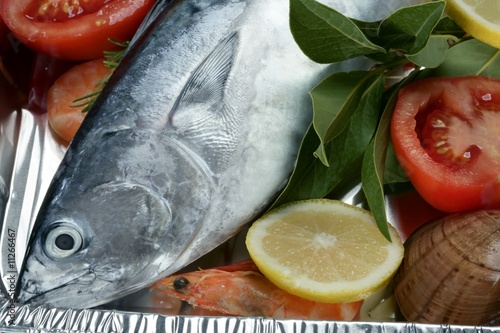 little tunny, tuna, alby, albacore, silver color. photo