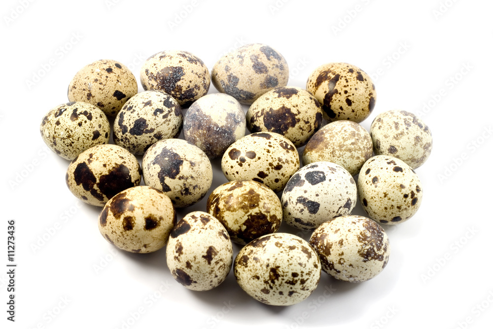 Quail eggs in egg shape Quail eggs in egg shape