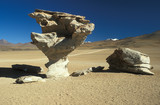 Wind Sculpted Stone Tree on the Bolivian Altiplano