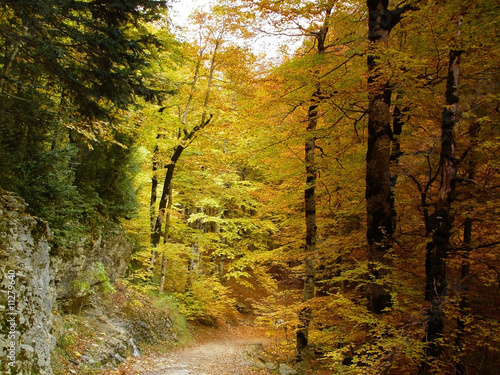 Parque Nacional de Ordesa photo