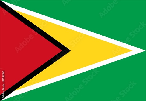 Guyana Flag Free Download Guyana Flag - GFXLoad