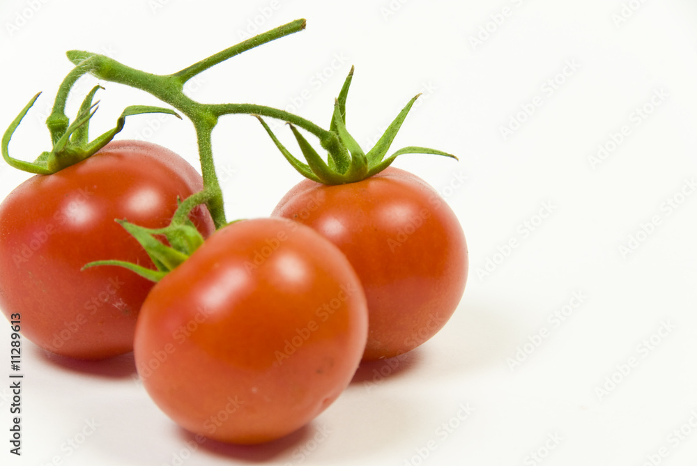 fresh organic vine tomato on a white background